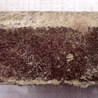 Figure 2 shows a macroscopic image of a brick fragment treated with wetBloc afte