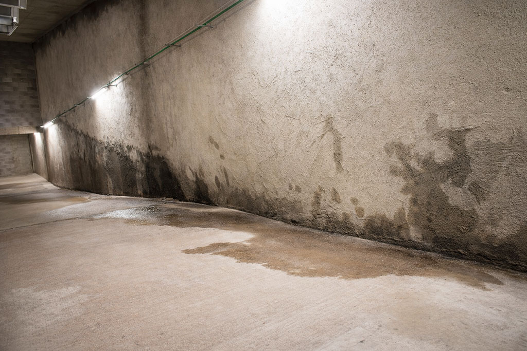 Damp basement wall with damaged plaster